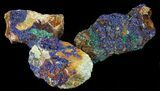 Azurite & Malachite on Matrix Wholesale Lot - Specimens #61604-1